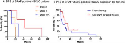 Clinical Characteristics and Treatment Outcomes of 65 Patients With BRAF-Mutated Non-small Cell Lung Cancer